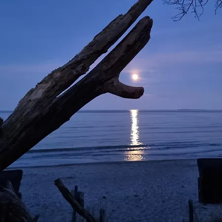 Tyr - Odins Blick 5 - Grosser Balkon, Privatstrand, Sauna * Lobbe