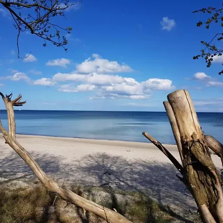 Lägenhet Tyr - Odins Blick 5 - Grosser Balkon, Privatstrand, Sauna *